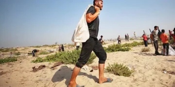 Hottest year on record