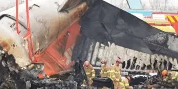 Panel to probe plane crash