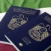 UAE named world’s powerful passport