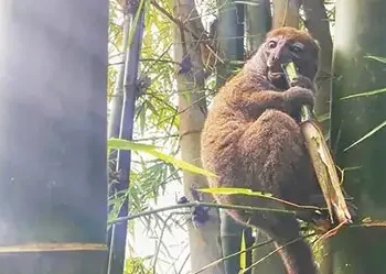 Unpalatable practice