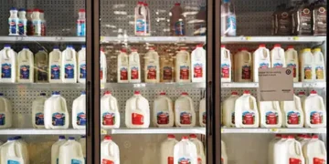 Whole milk back on menu