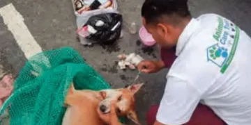 The voiceless will also get cheap medicines