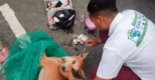 The voiceless will also get cheap medicines