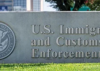 Immigration pleas paused