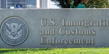 Immigration pleas paused