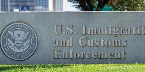 Immigration pleas paused