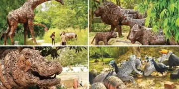 A forest has been created from junk in Noida.