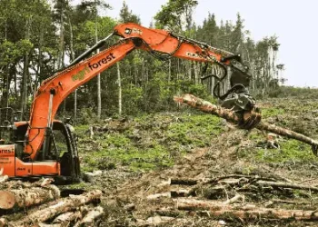 ‘Uttarakhand forest land grab shocking’