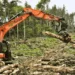 ‘Uttarakhand forest land grab shocking’