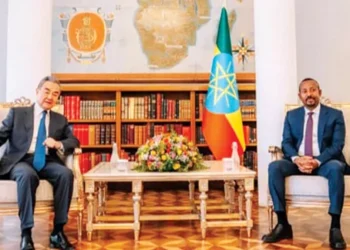 Exploring trade opportunitie