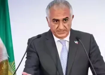 Iran’s Crown Prince urges internet providers to help protestors