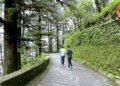 Landour Where tranquillity reigns supreme