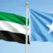 Somalia ends pacts with UAE