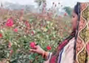 Geeta, who once faced financial hardship, is now a role model for self-help groups.