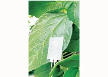 Plant and human health will now be monitored with special sensors.