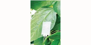 Plant and human health will now be monitored with special sensors.