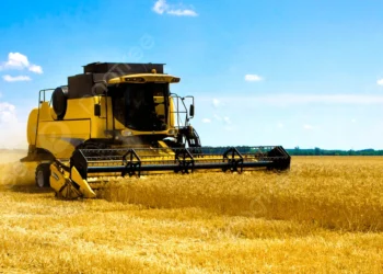 US Farmers Stick with Corn Despite Slumping Prices in 2026