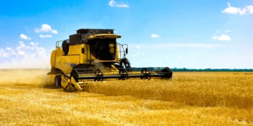 US Farmers Stick with Corn Despite Slumping Prices in 2026