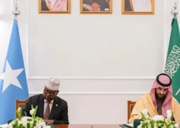 Somalia, Saudi Arabia to strengthen military ties