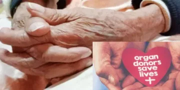 An elderly person's organ donation gave a patient a new lease on life.
