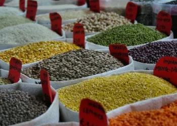 US walks back on pulses claims in factsheet on India trade deal