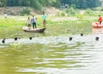 Gomti will be revived.