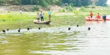 Gomti will be revived.