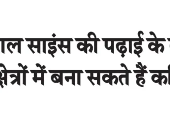 After studying social science, you can make a career in these fields