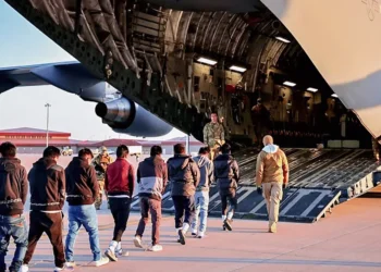 3 million immigrants sent back