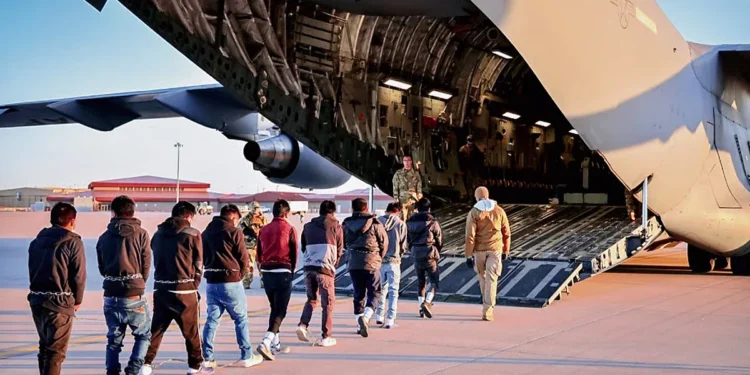 3 million immigrants sent back