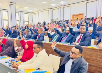 Somalia Approves New Constitution for Direct Elections