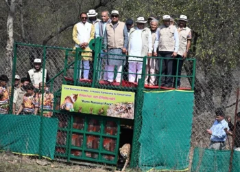 कूनो नेशनल पार्क में नए चीते