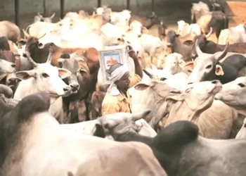 गो-तस्करों को सीएम योगी ने याद दिलाई नानी