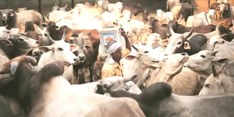 गो-तस्करों को सीएम योगी ने याद दिलाई नानी