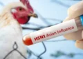h5n1