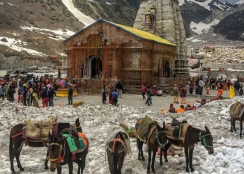केदारनाथ धाम यात्रा में घोड़ा-खच्चर पंजीकरण अनिवार्य