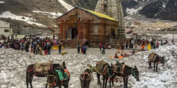 केदारनाथ धाम यात्रा में घोड़ा-खच्चर पंजीकरण अनिवार्य