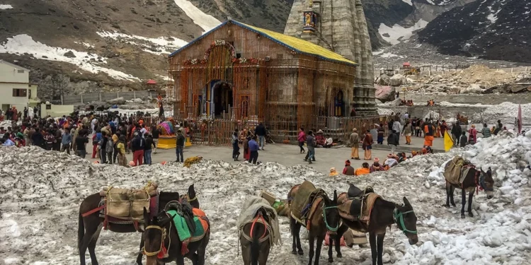 केदारनाथ धाम यात्रा में घोड़ा-खच्चर पंजीकरण अनिवार्य