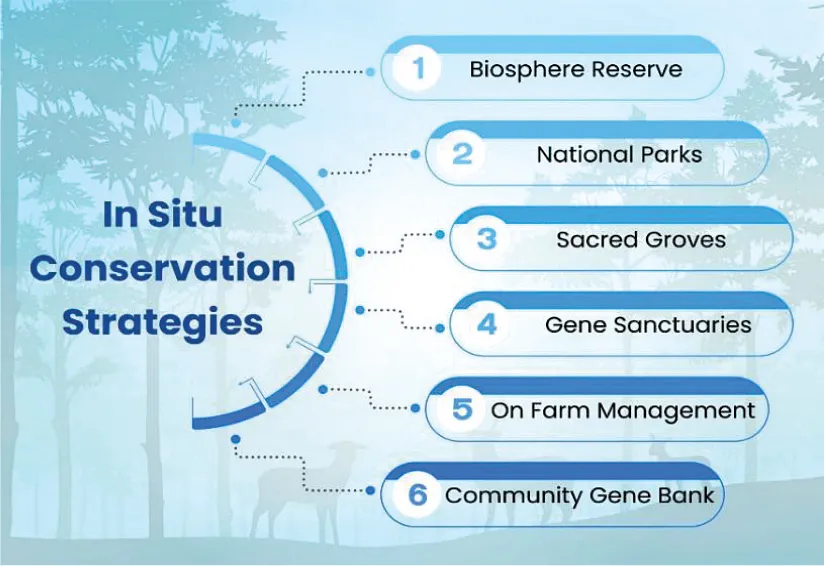 World Wildlife Day 2026 Highlights Medicinal Plants