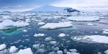 Shrinking sea ice