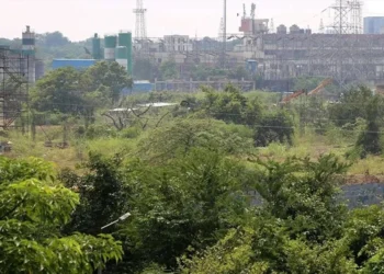 Mumbai gets TREE authority