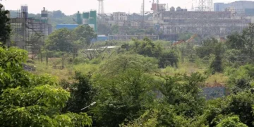 Mumbai gets TREE authority