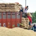 Cabinet Approves Rs 25,530 Crore SARTHAK PDS Scheme