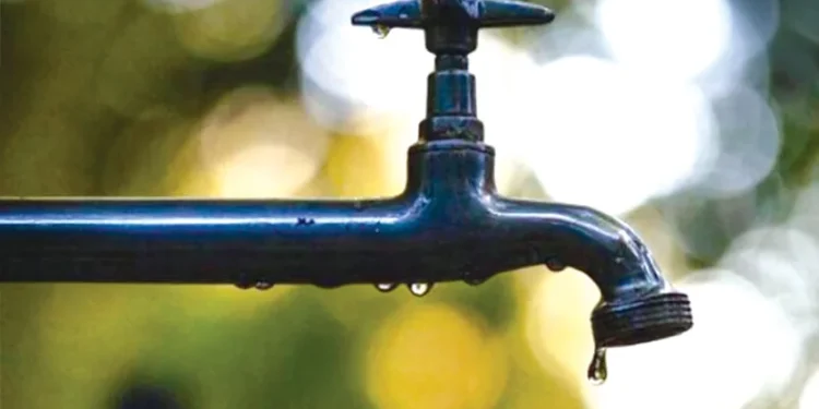DRY PIPES digitised lives
