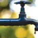 DRY PIPES digitised lives