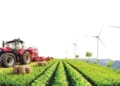From fields to market