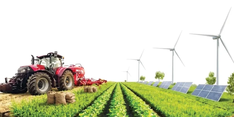 From fields to market