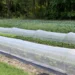 Mining to farming