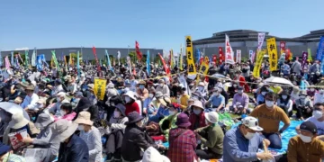 Japan Constitution