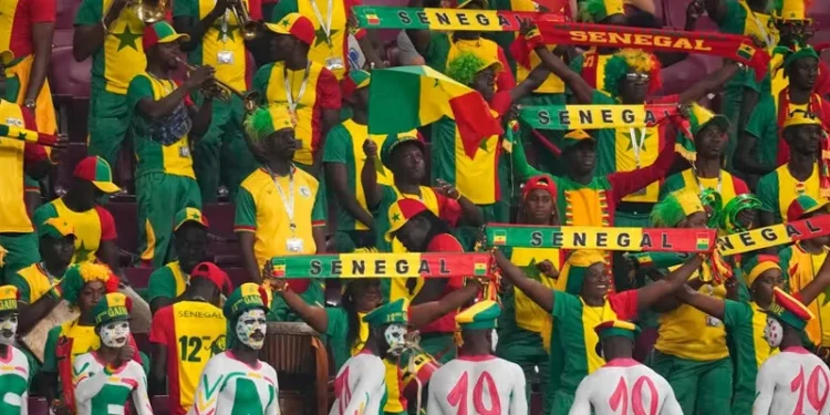 Relief for soccer fans